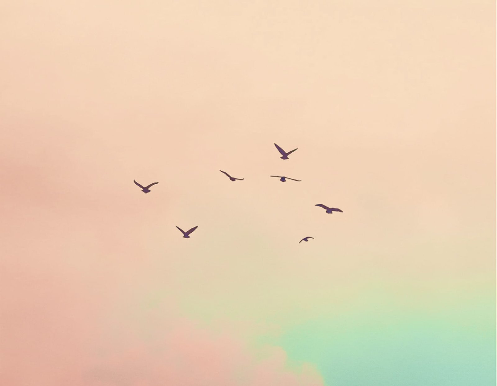 ✈️ Discover the World with BookingFC: Your Gateway to Seamless Travel Experiences